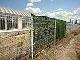 Панельні заборні сітки, фото 2