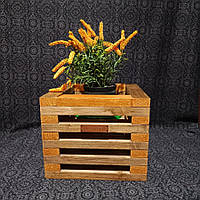 Дерев'яний ящик для квітів