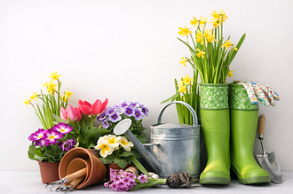 САДОВИЙ ДЕКОР