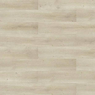 Ламінат Classen Pool WR Дуб Кремовий натур 52355 в прихожу, кухню, спальню водостійкий з фаскою