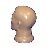Манекен голова чоловіча, фото 3