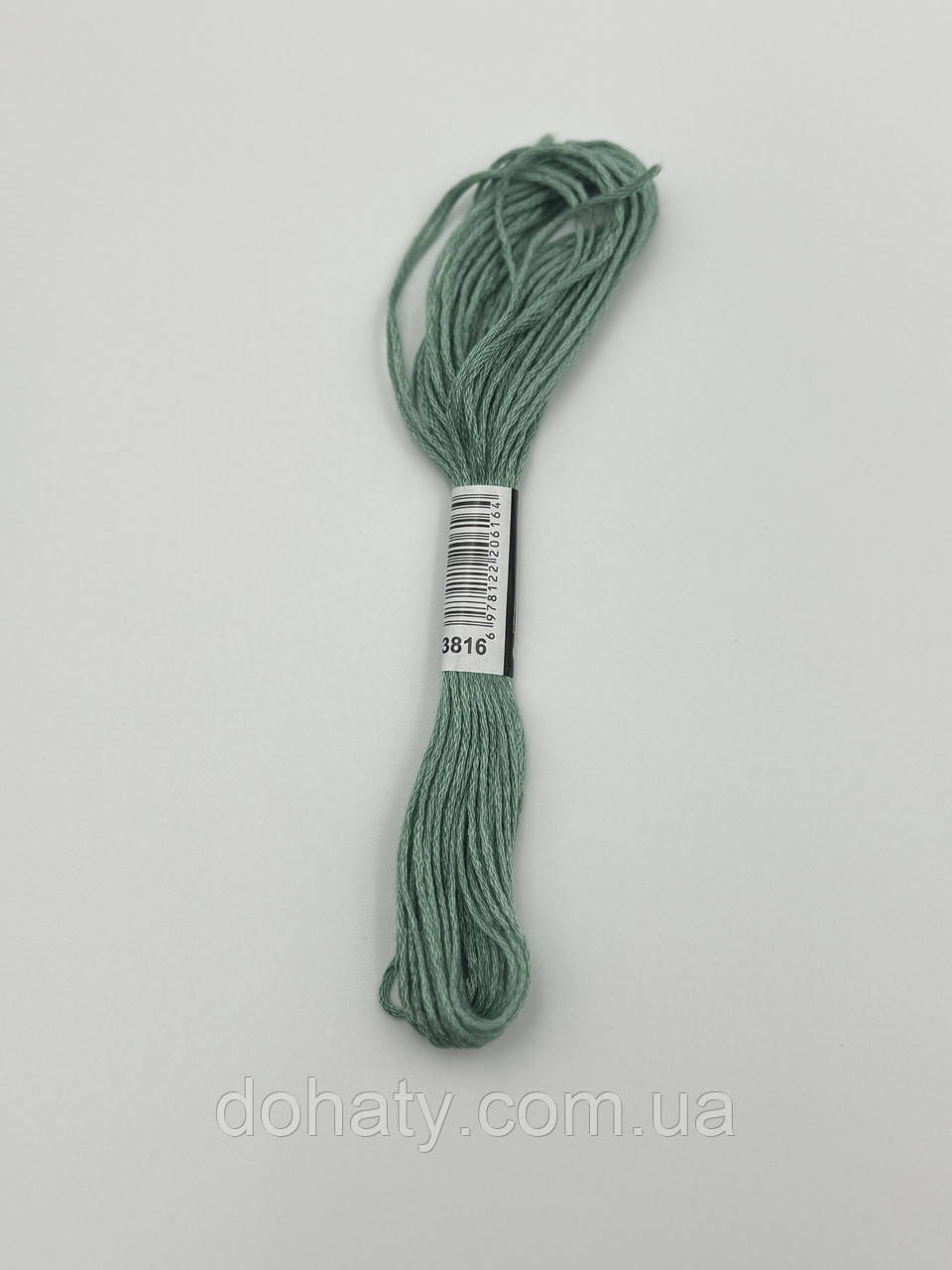 Нитки муліне 3816 Зелений целадоновий - природний для вишивання, фото 1
