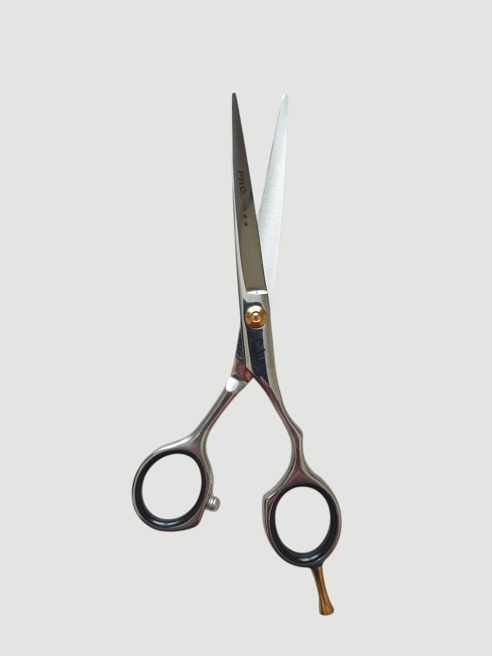 Професійні перукарські ножиці Proline SBJ - 6.0" для стрижки волосся, фото 1