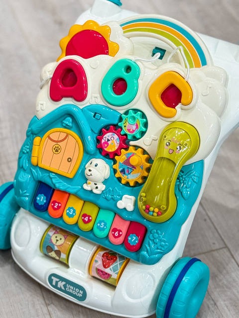 Музичні ходунки-каталка 14818 TK Group | Lolly Dolly