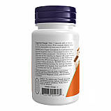 Dairy Digest Complete - 90 vcaps, фото 3