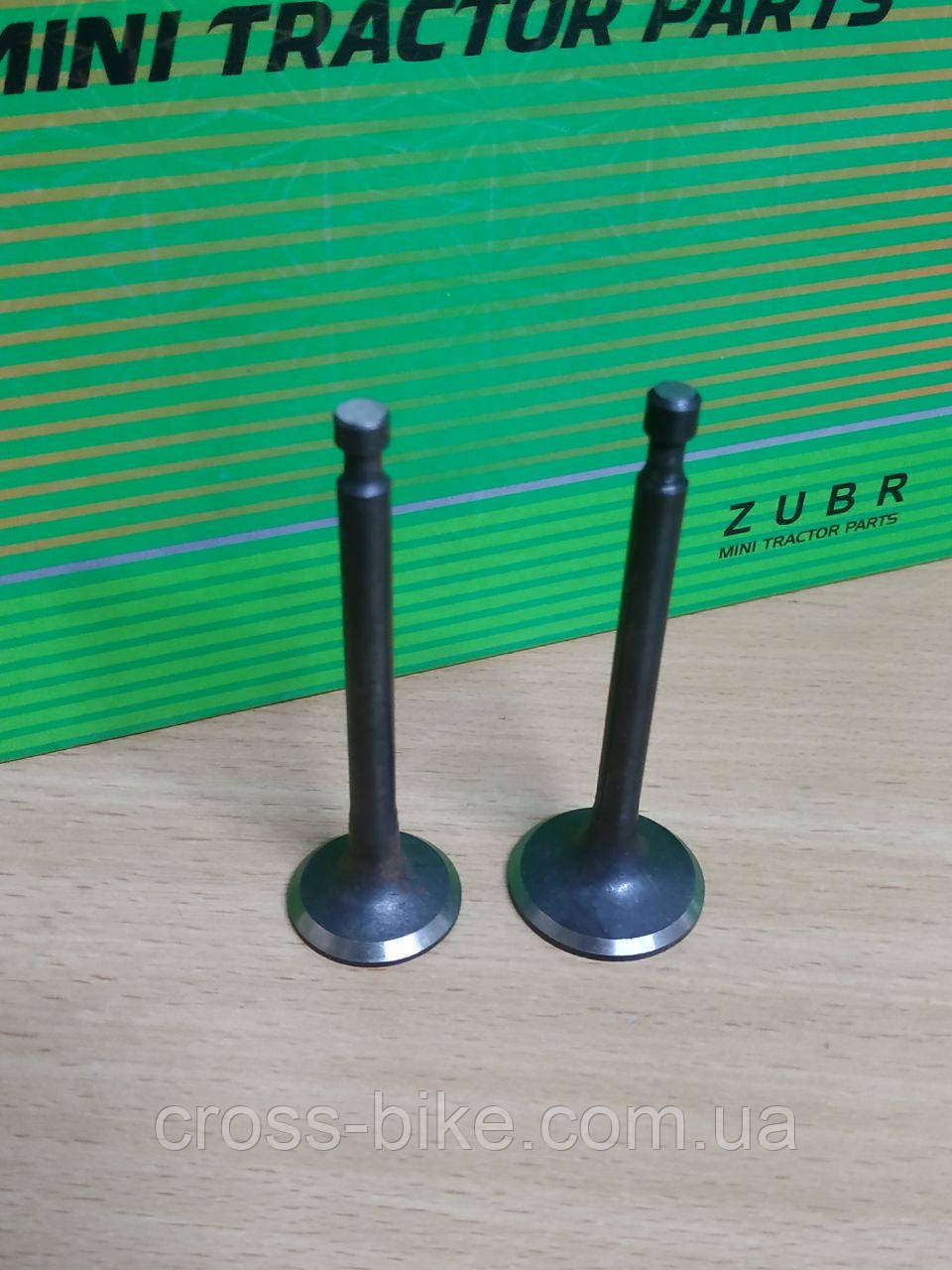 Впускний та випускний клапани 168F, фото 1