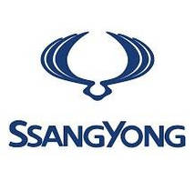 SSANG YONG