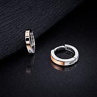 Срібні сережки з золотими пластинами Руна