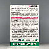 Фунгіцид Блу Бордо Дисперс 200 г Спектр Сад, фото 2