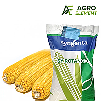 Насіння кукурудзи СИ Ротанго Syngenta Посівний матеріал кукурудзи з високою врожайністю