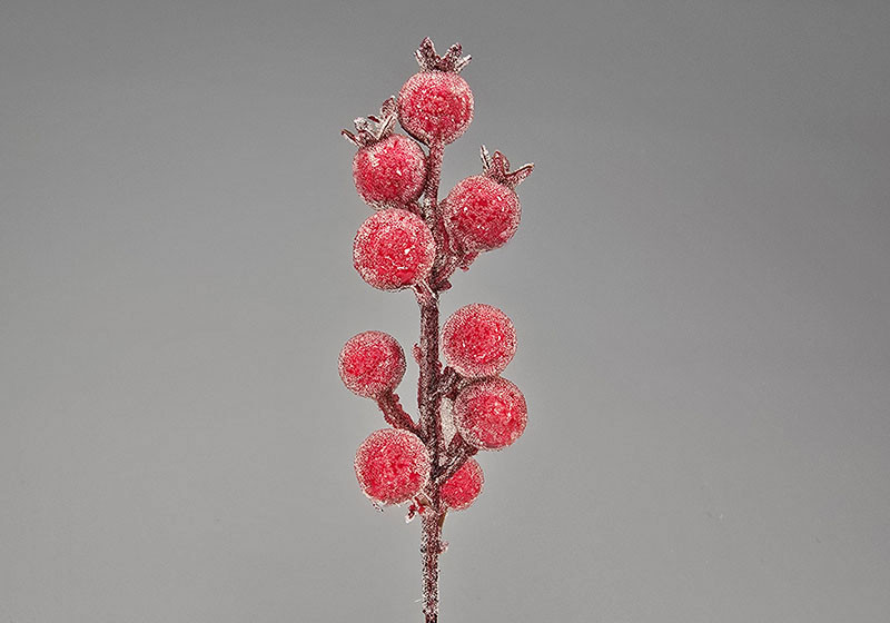 Гілка з червоними пінопластовими ягодами в цукрі 20 см/| 15 мм С30374