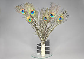 Перо павича очей 3,5-4 см 25-30 см/1шт