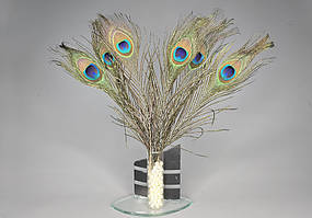 Перо павича очей 4-5,5 см 25-30 см/1 шт.