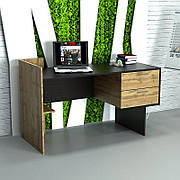 Комп'ютерний стіл ТИМОР (110х55х90) Гамма стиль