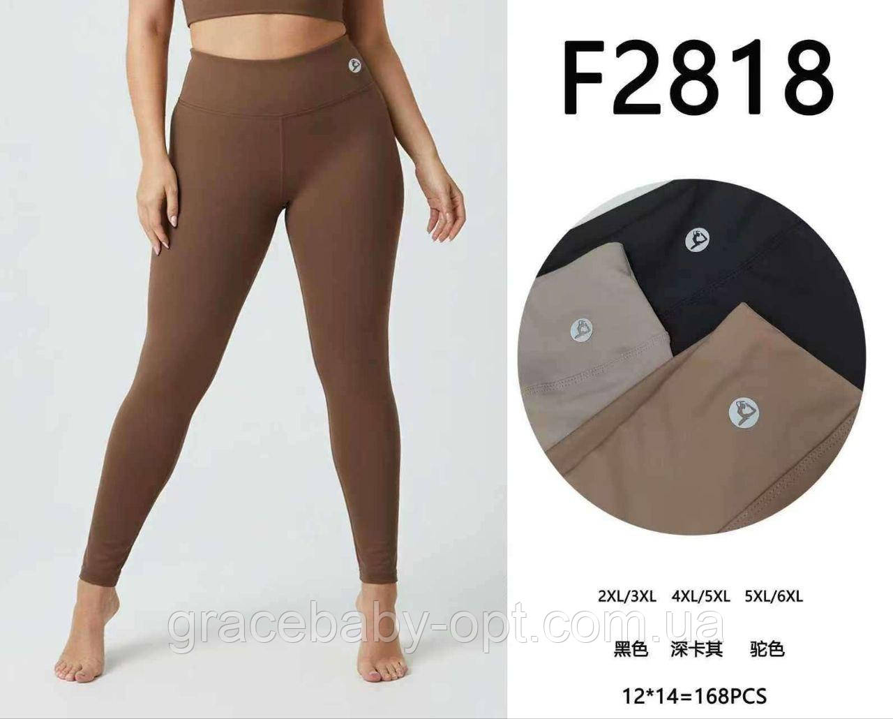 Лосини жіночі оптом, 2XL/3XL-5XL/6XL pp,  № Hay-F2818, фото 1
