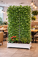 Опора для в'ючних рослин 160*80 см із горщиком, мобільна, на колесах