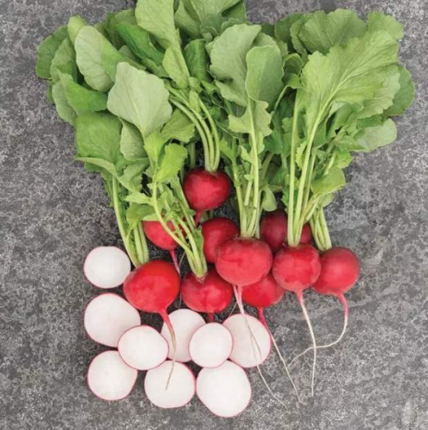 Насіння редису Роксан F1 Bejo 10000 2,75-3,00