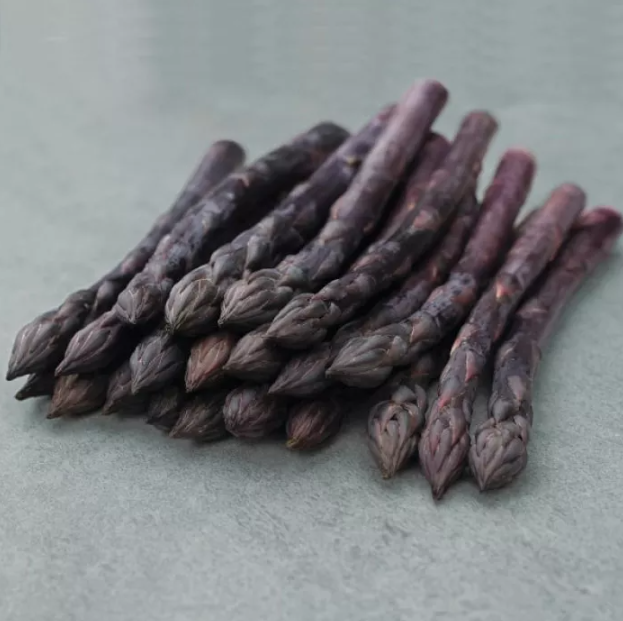 Насіння спаржи Ерасмус F1 Bejo 500