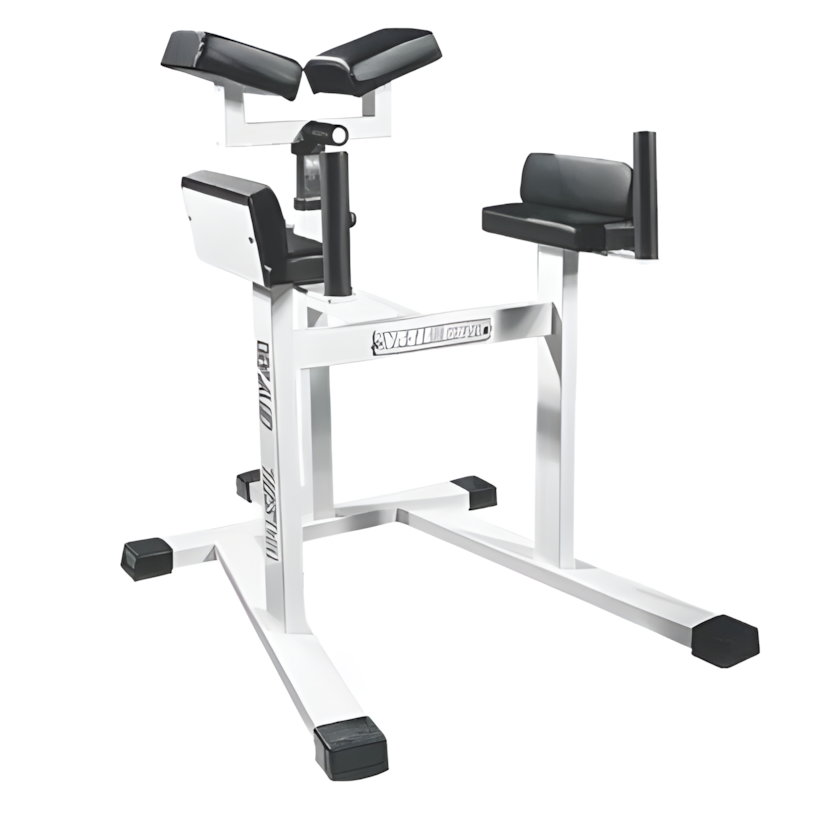 Зворотня гіперекстензія B.231