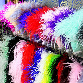 Пір'яна тасьма