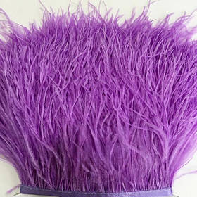 Тасьма перова (СТРАУС)