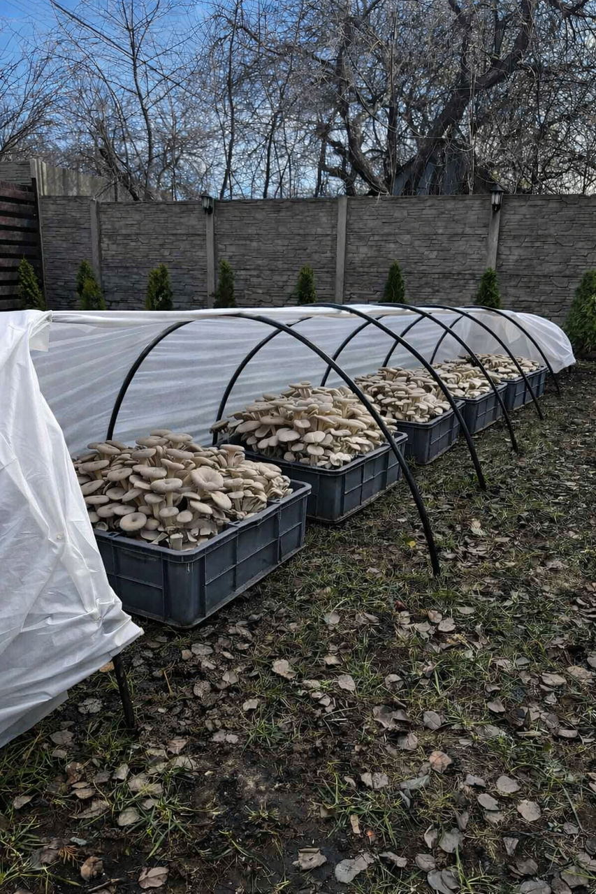 Для розсади парник ВЕСНА 12м 60 г/м²  Міні-арочний  - біле агроволокно