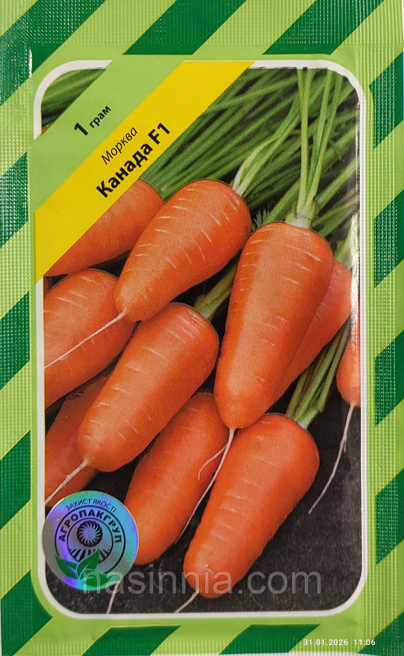 Морква Канада F1 1 грам, фото 1