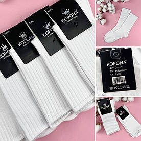 Жіночі високі білі шкарпетки "Корона" (B-2096-1) у рубчик, бавовняні, розмір 37-42, 10 пар упк.