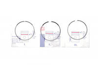 Кольца поршневые BMW X5 (F15/F85/G05/F95)/X6 (F16/F86/G06/F96) 14- (89.00mm/STD) (1.2-1.5-2) N63/S63 120007005