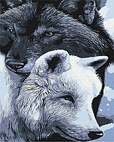 Вовки добра та пітьми