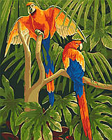 Тропічні птахи