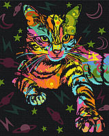 Космічний кіт