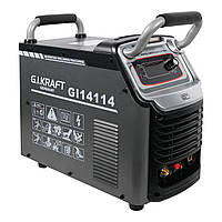 Плазморізи