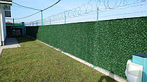 Зелена сітка висотою 2 м, встановлена для повного огородження території приватної організації. Підходить для об’єктів із підвищеними вимогами до приватності.