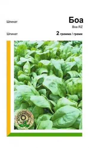 Шпинат Боа 2 г АПГ, фото 1
