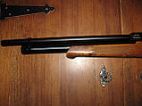 Пневматична гвинтівка Evanix RAINSTORM SL 4,5, фото 2