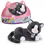 Інтерактивна іграшка Baby Born "мій кіт кукі" в коробці, фото 6