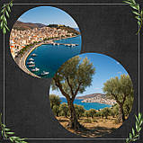 Олія з олив Extra Virgin грецька Sitia Premium 3л + скляна пляшка 250мл, фото 7