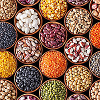 Стаття-гід, які є бобові рослини