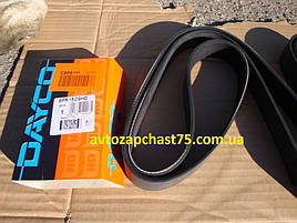 Ремінь полікліновий 8PK1509HD Daf, Man, Renault Trucks, Skania (виробник Dayco, Італія)