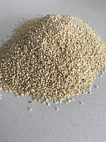 Кунжут білий
