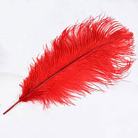 Червоне перо страуса, довжина  25-30 см