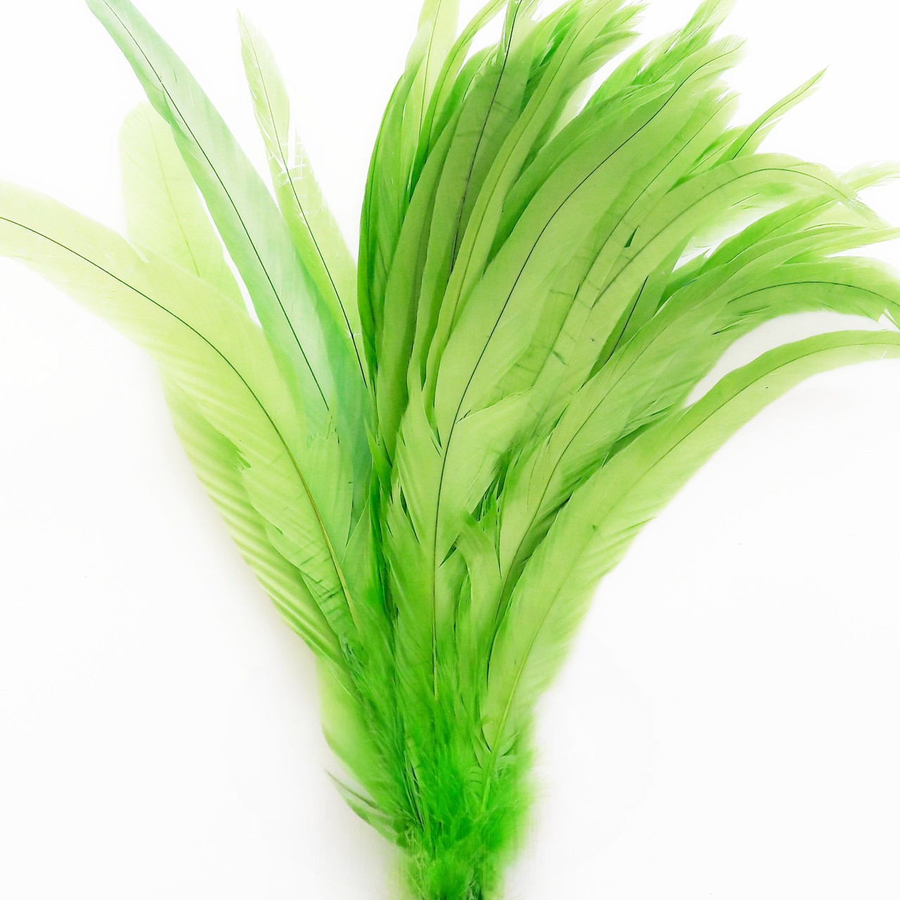 Перо півня ( виберіть довжину), ширина 2,5 см, колір Fluo Green, 1 шт.