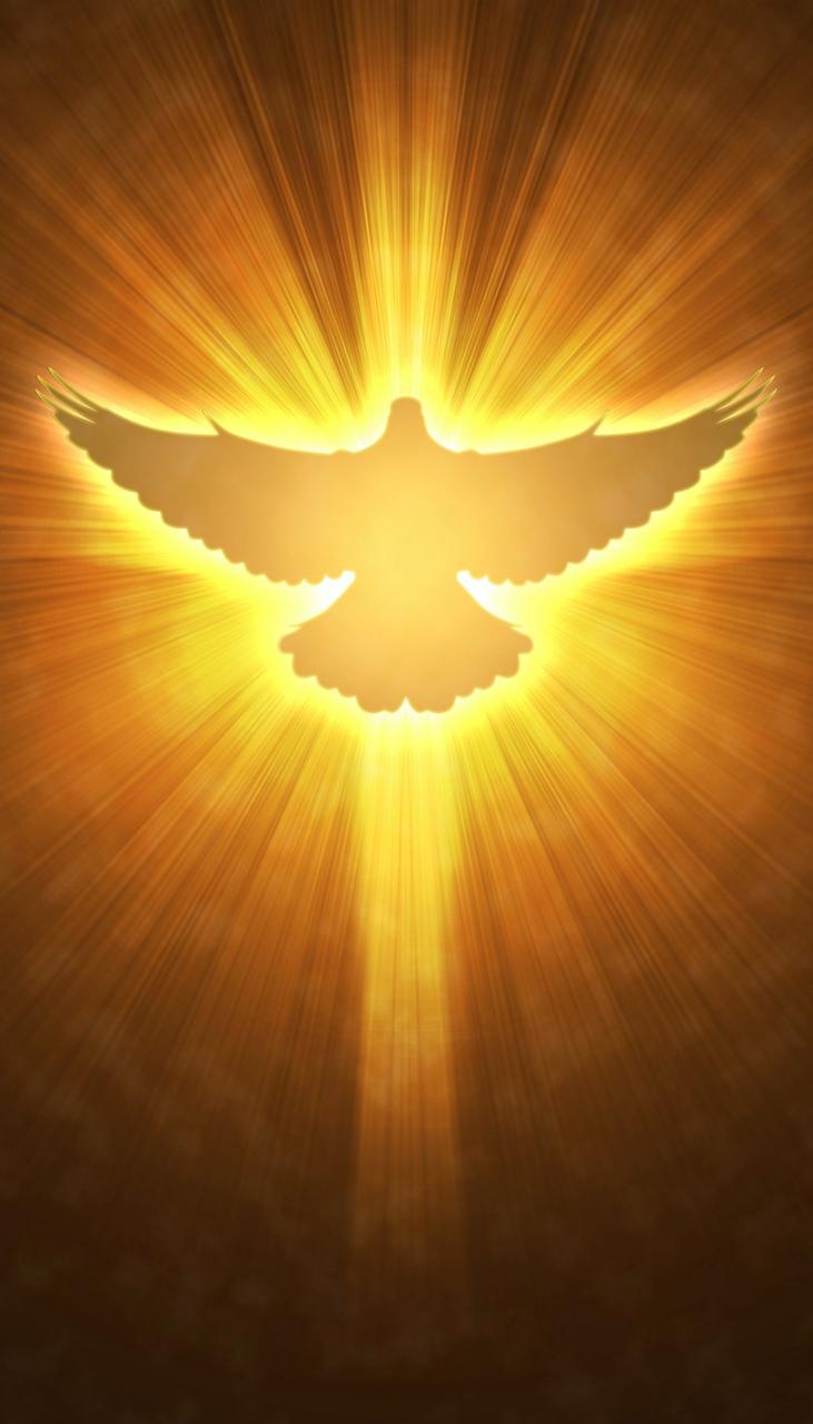 Нагрівач плівковий на стіну «Голуб миру»