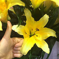 Цибулини ЛІЛІЇ з великою квіткою Faconnable (1 шт.)