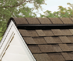 Конькова черепиця ProEdge™ Hip & Ridge