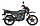 Мотоцикл Shineray XY 200 Intruder Чорний, фото 4