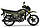Мотоцикл Shineray XY 200 Intruder Зелений, фото 2