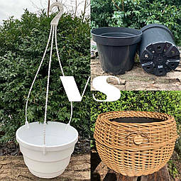Які кашпо та горщики обрати: підвісні, для розсади чи плетені з ротангу