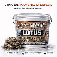 Фасадний лак для каменю та цегли LOTUS «Мокрий камінь» глянцевий акриловий прозорий для фасаду, бетону та дерева 1 л